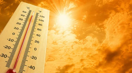 В Казахстан возвращается жара: температура поднимется до +33°C