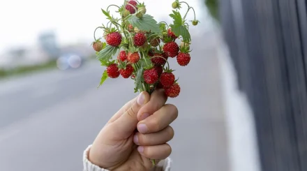 Астана снова прогреется: какой будет погода 3 сентября