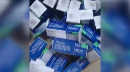 Әсері күшті дәрілерді заңсыз өткізген қылмыстық топ ұсталды