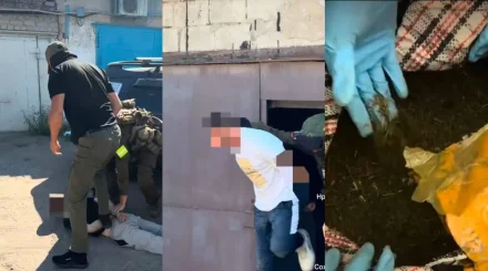 Полицейские пресекли сбыт 60 кг марихуаны в Павлодаре