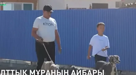  Атырауда 9 жастағы бала тазы баптаудың сырын айтты 