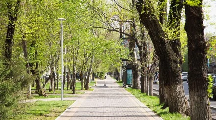 Күн жылынады: 3 қыркүйекке арналған ауа райы болжамы