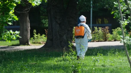 Алматыда 47 мың гектардан астам аумақта күзгі дератизация жүргізіледі