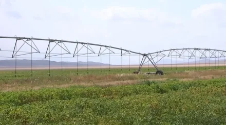 Фермеры в АлматинскойВ