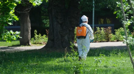 Более 47 тысяч гектаров обработают от грызунов в Алматы