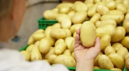 Какие продукты подешевели в Казахстане за неделю