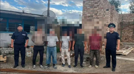 Павлодарда заңсыз еңбек еткен 5 шетел азаматы анықталды