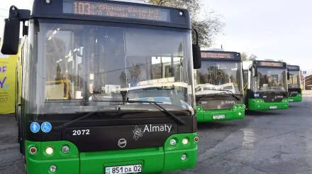 После концерта Энрике Иглесиаса в Алматы запустят 50 бесплатных шаттлов