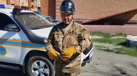  Қарағанды облысында тұрғын үй маңынан жылан ұсталды 