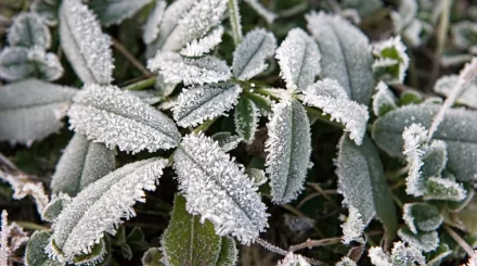 Түнде -2°C-қа дейін үсік, жаңбыр мен найзағай: 5 қыркүйекке арналған ауа райы болжамы