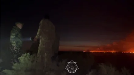 Алматы облысында құрғақ шөп пен қамыс өртенді