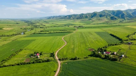 Как казахстанцам получить землю под личное подсобное хозяйство