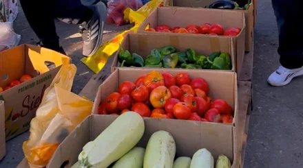 Полтонны говядины представили на ярмарке в Актобе
