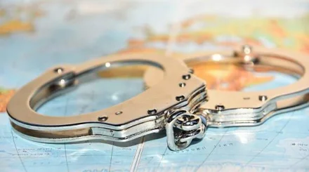 Из Грузии в Казахстан экстрадировали подозреваемого в хищении $1,5 млн (ВИДЕО)