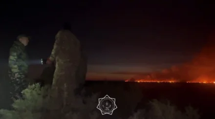  Алматы облысында құрғақ шөп пен қамыс өртенді:   