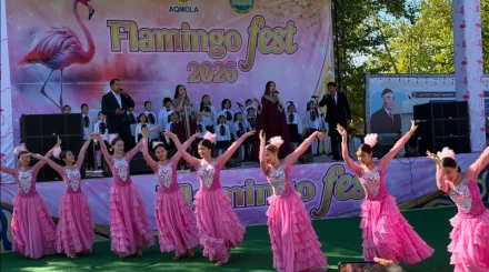 Ақмола облысында екінші мәдени-туристік Flamingo Fest фестивалі басталды