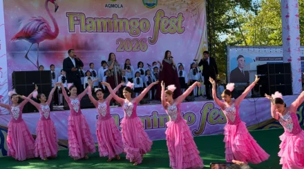 От степных пейзажей до розовых фламинго: в Коргалжыне проходит Flamingo Fest