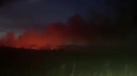 Крупный пожар разгорелся возле реки Или в Алматинской области