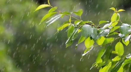 Еліміз бойынша 5 қыркүйекке арналған ауа райы болжамы