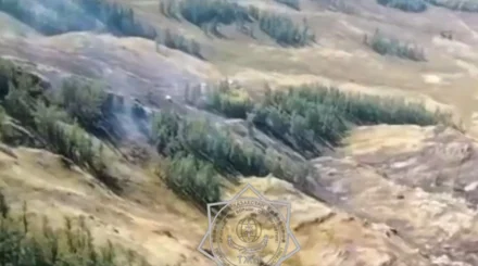  Марқакөл орман шаруашылығында табиғи өрт сөндірілуде 