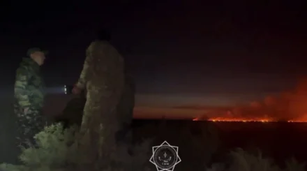  Алматы облысында құрғақ шөп пен қамыс өртенді 
