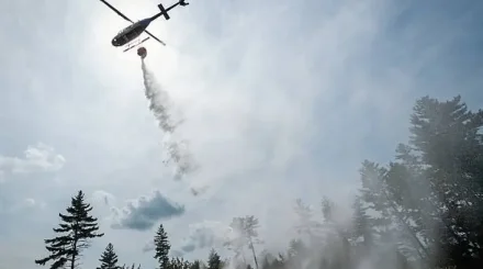 Қазақстанның үш облысында орман өрті тіркелді