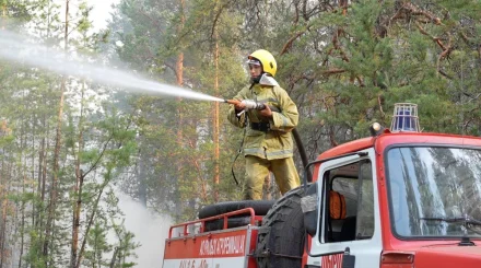 Горячее начало осени: недельная сводка лесных пожаров в РК