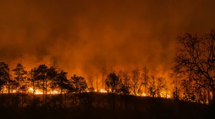 Қазақстанда бір тәулікте үш орман өрті шықты