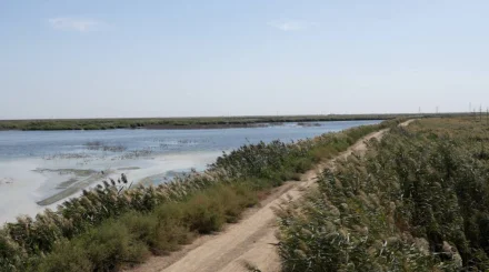 В Атырауской области принимают меры по установлению источников загрязнения воздуха