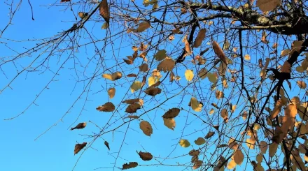 6 қыркүйекте барлық өңірде дауылды ескерту жарияланды