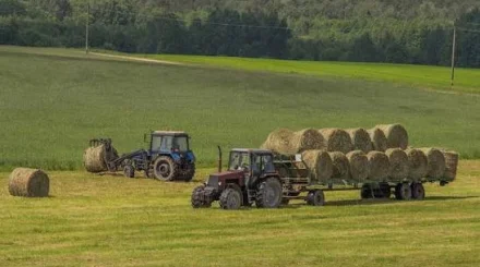 Қазақстанда қысқа қажетті жемшөптің 80%-ы дайындалды