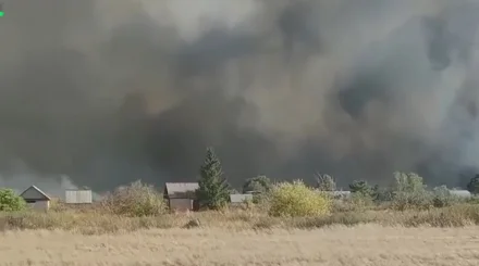 Степь в огне: пожар добрался до дачных участков
