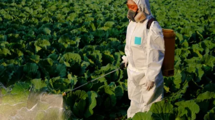  Әлемде жыл сайын пестицидтен уланудың 400 миллионнан астам жағдайы тіркеледі 