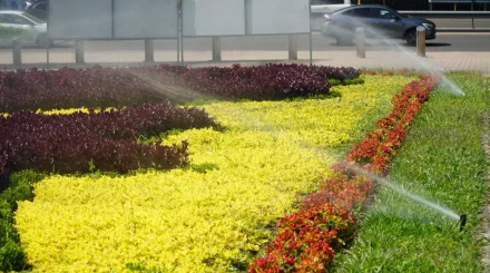 Алматының Медеу ауданында жүргіншілер аймағы көркейтіліп, суару жүйесі жаңартылды