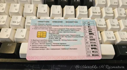 Два казахстанца лишились прав после махинаций с госномерами