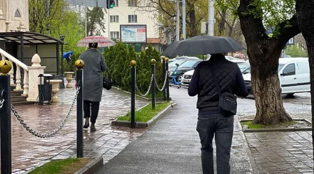 Синоптиктер 8 қыркүйекке арналған ауа райы болжамын жариялады