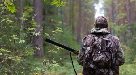 Четыре человека задержаны по подозрению в браконьерстве в области Улытау