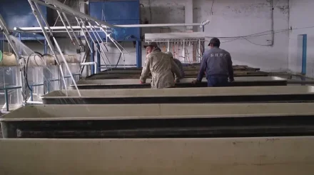 Атырауда Балық шаруашылығы саласында кадр тапшы