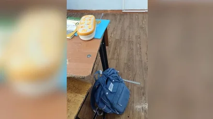 «В 80-90-х в деревне не было таких парт»: карагандинка возмутилась условиями в школе ребенка