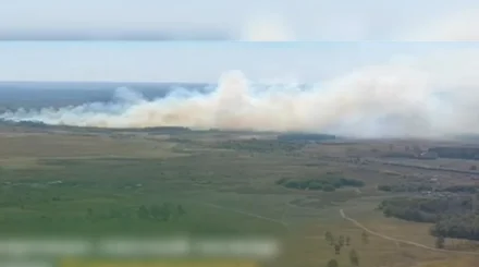 Крупный лесной пожар тушат в Акмолинской области