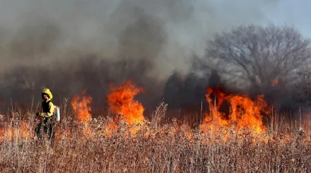 Сразу в двух районах Акмолинской области произошли природные пожары