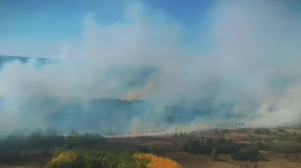 Ақмола облысының екі ауданында табиғи өрт тіркелді