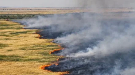  Қостанай облысында 600 гектар аумақты шарпыған өрт сөндірілді 