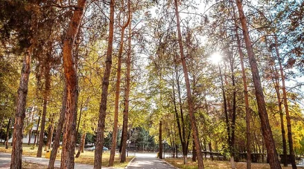 Қазақстанда бүгін ауа райы 36 градусқа дейін ыстық болады