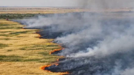 Қостанай облысында 600 гектар аумақты шарпыған өрт сөндірілді