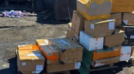 570 млн теңгені құрайтын өнім заңсыз айналымнан шығарылды