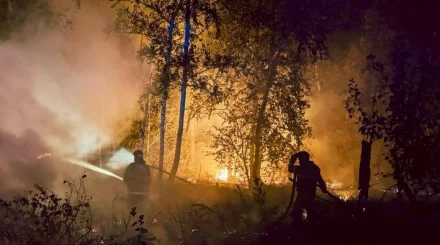 Пожар охватил 850 гектаров степи в Костанайской области (ВИДЕО)
