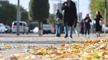 Поддержку безработных урежут в Казахстане: что изменится с 1 октября
