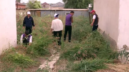 Жастар жалғызбасты қарттарға қолғабыс көрсетті
