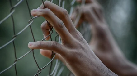 Родители провели 5 лет под стражей из-за ложных обвинений дочери в сексуальном насилии в Швейцарии